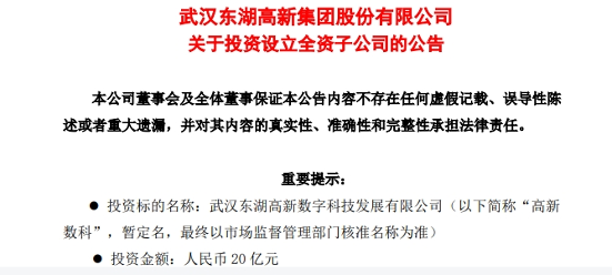 东湖高新出资20亿布局数字科技产业｜战略布局全攻略