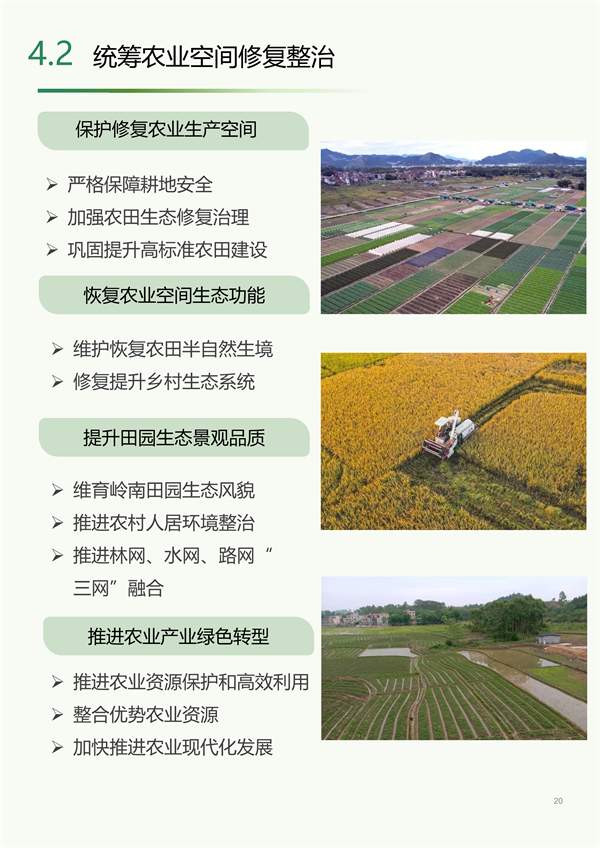 肇庆市生态修复规划征求意见｜国土空间优化全攻略(图20)