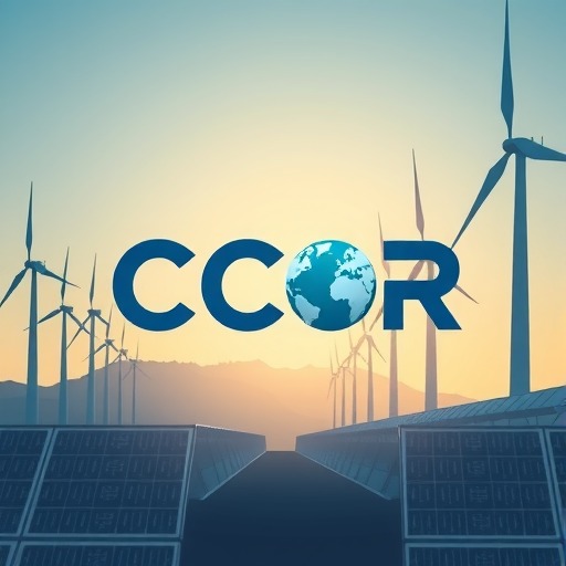 四家央企成立CCER联合体：核能碳减排方法学开发全攻略(图1)