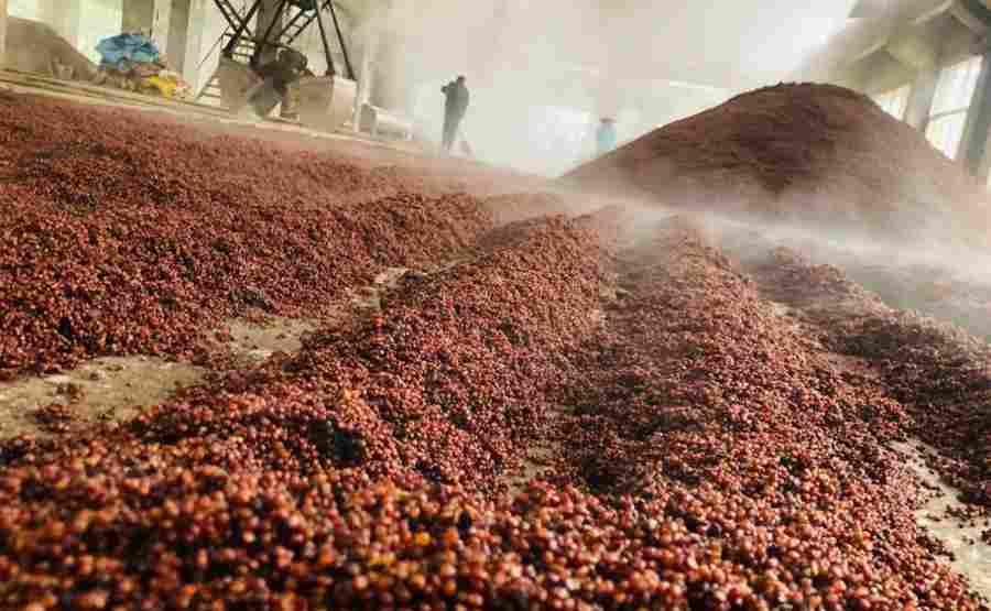 酿造废醪脱水难题如何解决?卧螺离心机技术应用解析 酿造废醪脱水难题如何解决?卧螺离心机技术应用解析