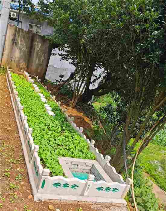 环保企业以技术创新与责任担当，筑就生态文明新篇章(图5)