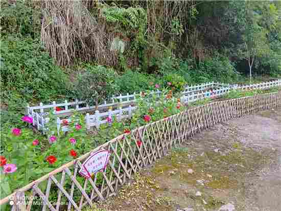 环保企业以技术创新与责任担当，筑就生态文明新篇章(图6)