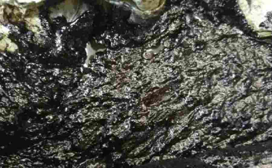 油田罐底泥资源化处理:卧螺离心机应用案例与效益分析 油田罐底泥资源化处理:卧螺离心机应用案例与效益分析