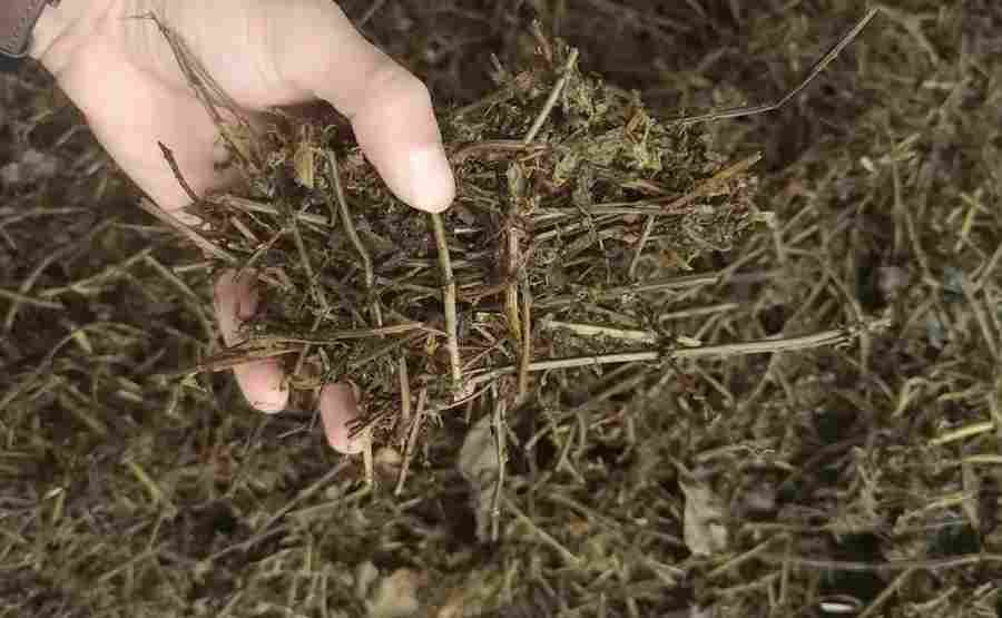 中药渣脱水破局：卧螺离心机在制药废渣处理中的创新应用